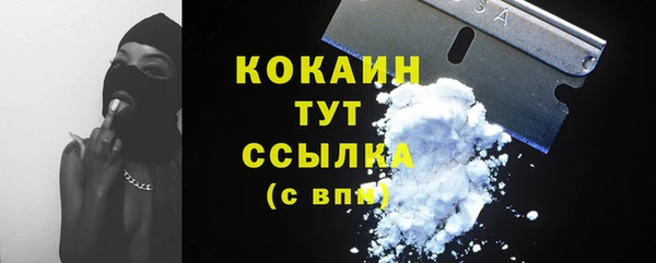 PSILOCYBIN Медвежьегорск