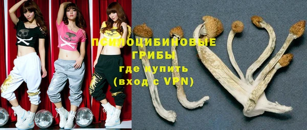 мяу мяу мука Белокуриха