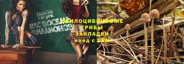 эйфоретик Белоозёрский