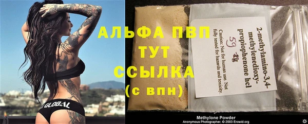 PSILOCYBIN Медвежьегорск
