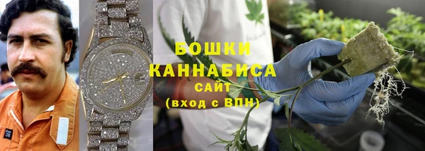 PSILOCYBIN Медвежьегорск