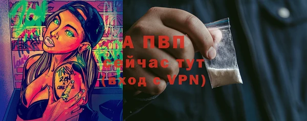 PSILOCYBIN Медвежьегорск