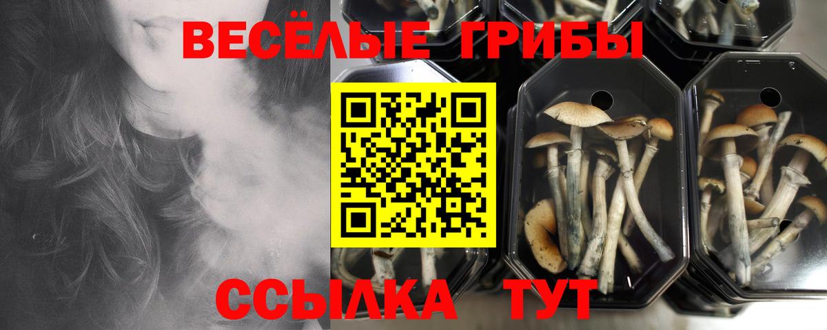 Псилоцибиновые грибы мухоморы  Вход с VPN  Барнаул  Псилоцибиновые грибы MAGIC MUSHROOMS 
