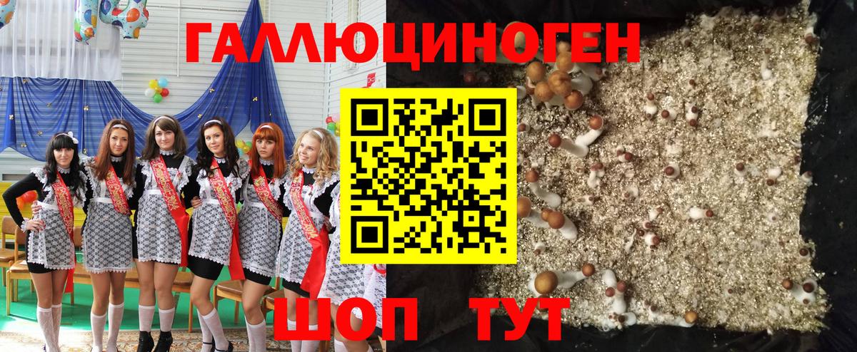 Галлюциногенные грибы мухоморы Барнаул